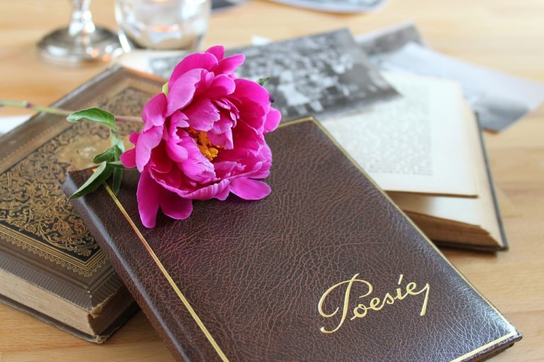 poetry album, book, leather